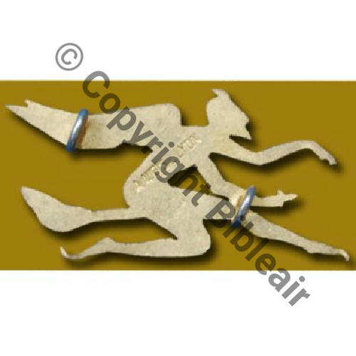 160  1950.57 A0572NH SPA.160 2eDRILLE EC.3.4 FLANDRE DIABLE ROUGE  A.AUGIS LYON 1Li 2Anneaux Dos lisse irreg 57x28mm Src.doloupacom 763Eur(x2) 